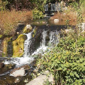 Meet your Posher, Lorrie